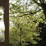 Rennsteighotel Herrnberger Hof 3*