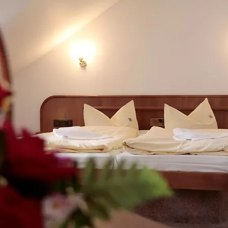 Rennsteighotel Herrnberger Hof מלון נויהאוס אם רנווג