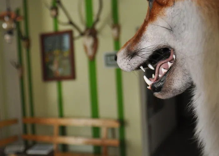 Rennsteighotel Herrnberger Hof 3*