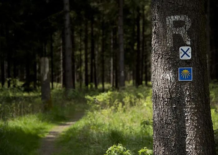 Rennsteighotel Herrnberger Hof 3* Neuhaus am Rennweg